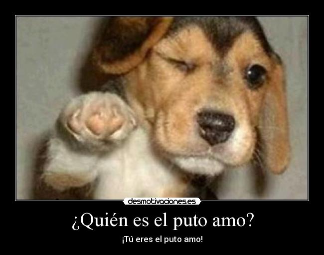 ¿Quién es el puto amo? -