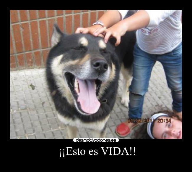 ¡¡Esto es VIDA!! -
