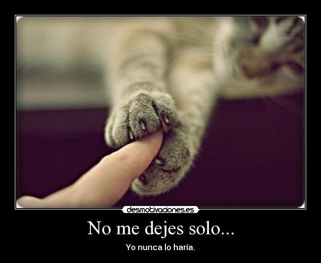 No me dejes solo... | Desmotivaciones