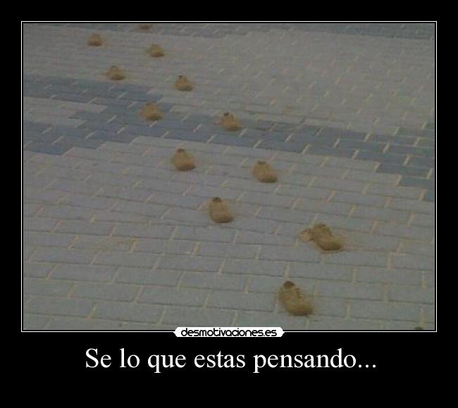 Se lo que estas pensando... -