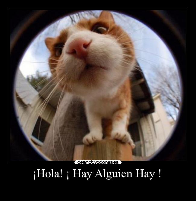 ¡Hola! ¡ Hay Alguien Hay ! -