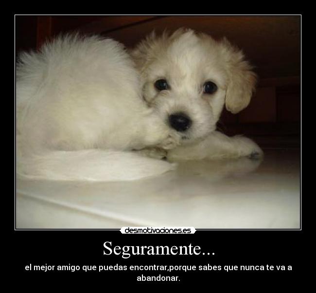 Seguramente... - 
