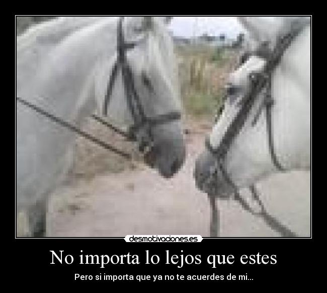 No importa lo lejos que estes -