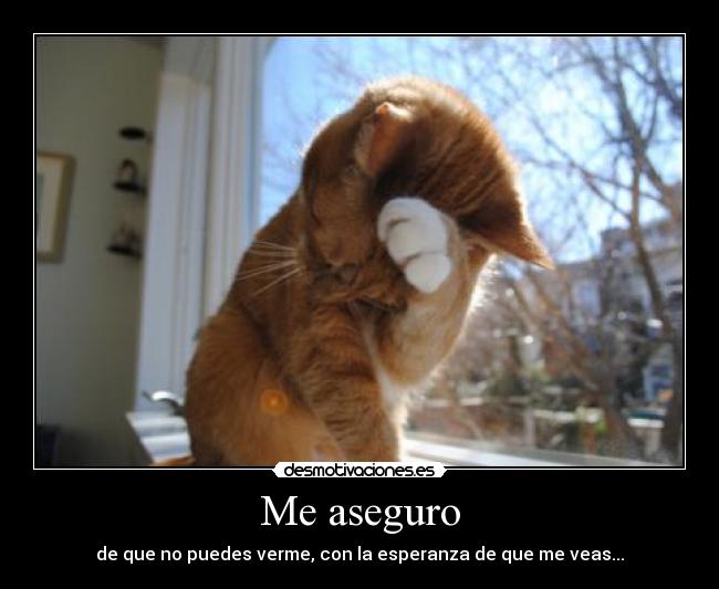 Me aseguro - 