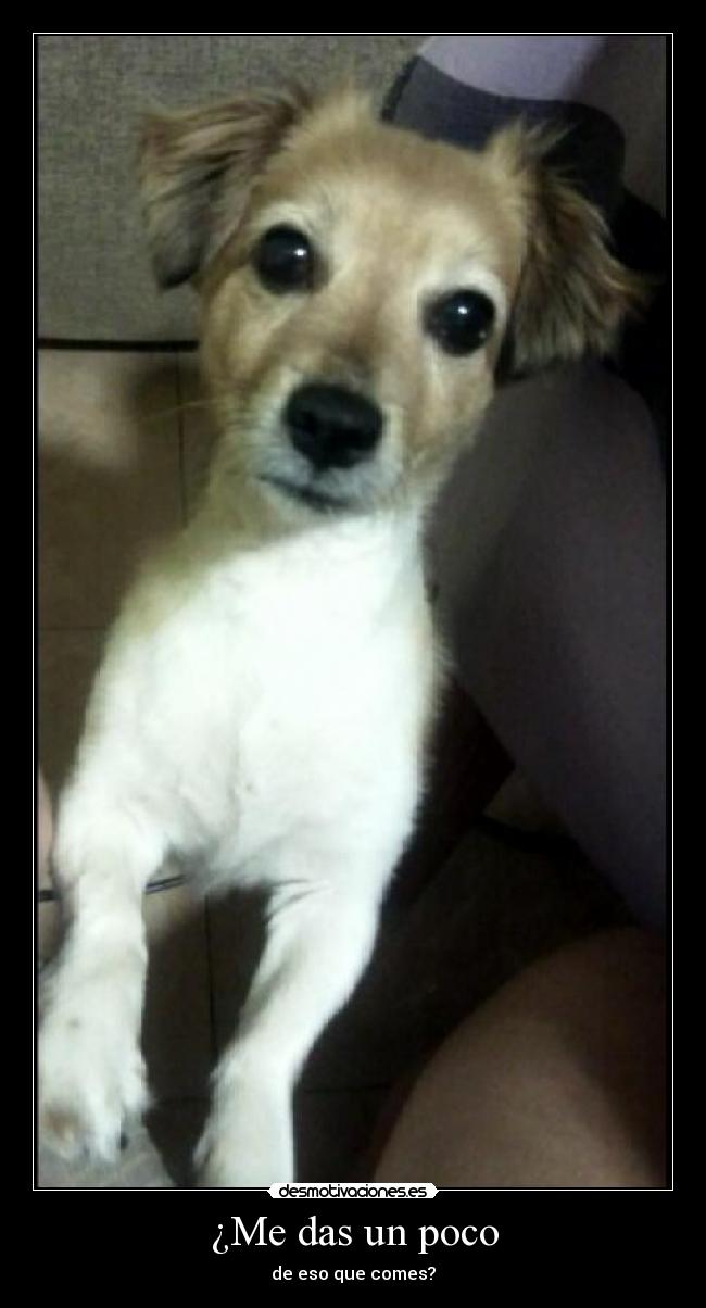 ¿Me das un poco - de eso que comes?