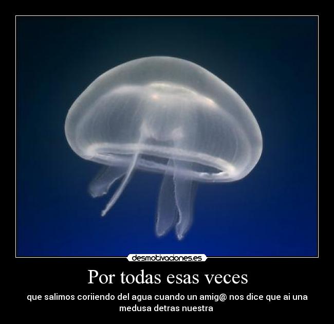 Por todas esas veces -