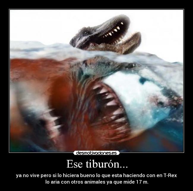 carteles guau desmotivaciones