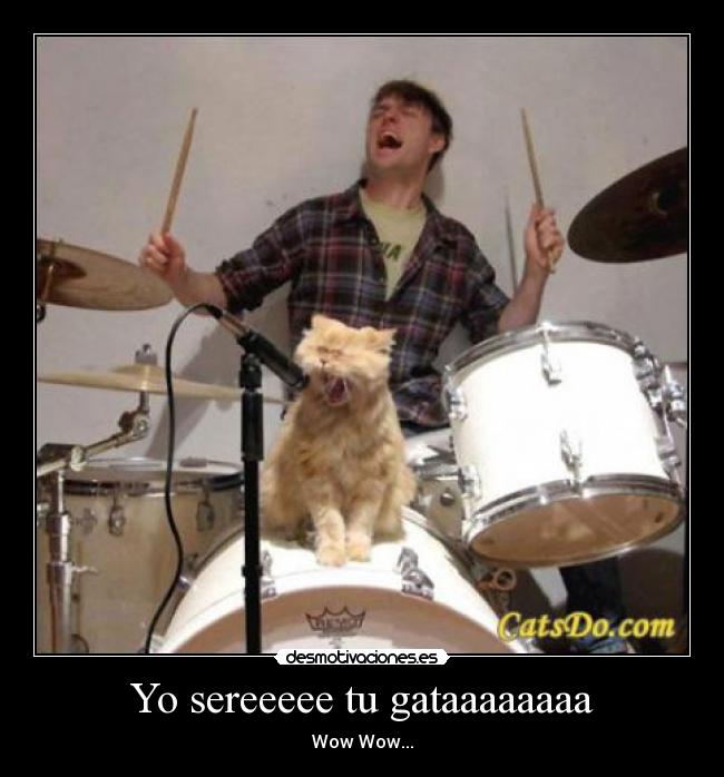 Yo sereeeee tu gataaaaaaaa -