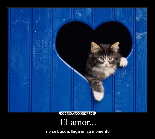 carteles amor amor desmotivaciones