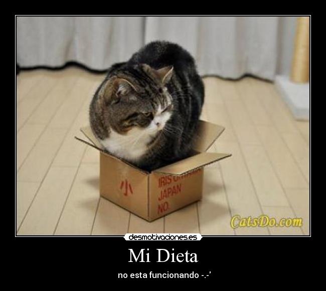 Mi Dieta - 