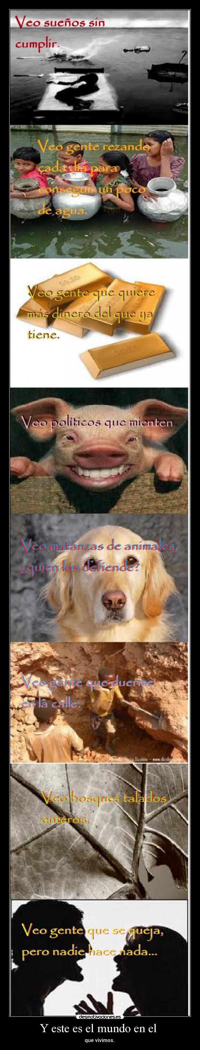 Y este es el mundo en el -