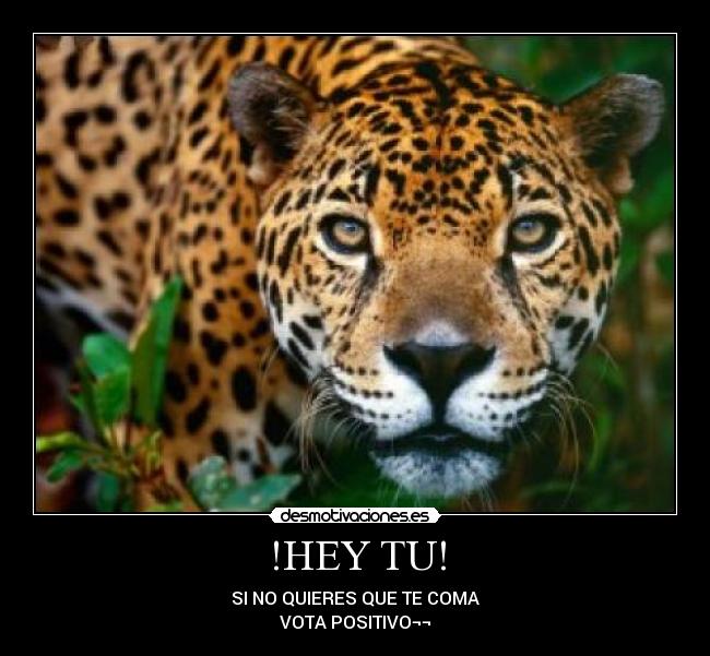 !HEY TU! - SI NO QUIERES QUE TE COMA
VOTA POSITIVO¬¬