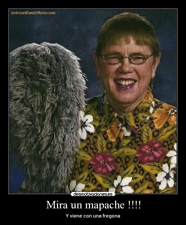 Mira un mapache !!!! - Y viene con una fregona