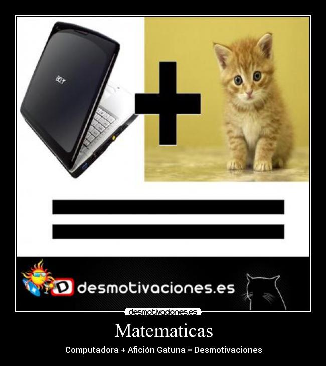 carteles desmotivaciones gatos suma computadora desmotivaciones