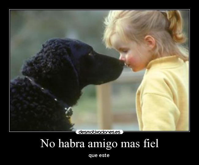 No habra amigo mas fiel -
