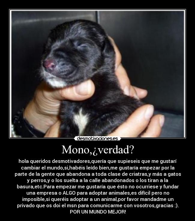 Mono,¿verdad? - hola queridos desmotivadores,quería que supieseis que me gustarí
cambiar el mundo,si,habéis leído bien,me gustaría empezar por la
parte de la gente que abandona a toda clase de criatras,y más a gatos
y perros,y o los suelta a la calle abandonados o los tiran a la
basura,etc.Para empezar me gustaría que ésto no ocurriese y fundar
una empresa o ALGO para adoptar animales,es difícil pero no
imposible,si queréis adoptar a un animal,por favor mandadme un
privado que os doi el msn para comunicarme con vosotros,gracias :).
POR UN MUNDO MEJOR!