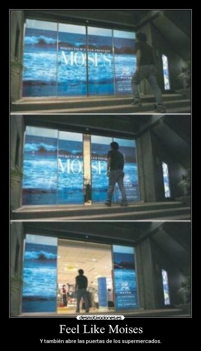 Feel Like Moises - Y también abre las puertas de los supermercados.