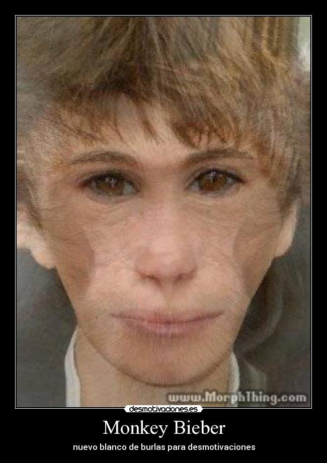 bieber monkey