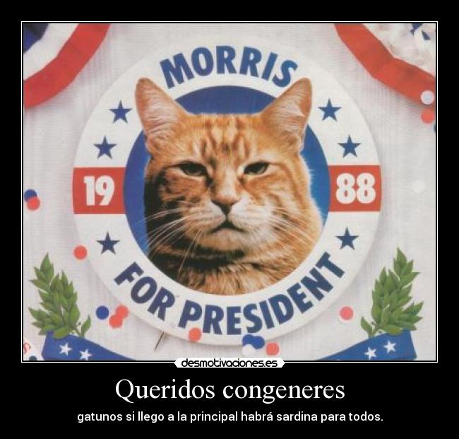 Queridos congeneres -