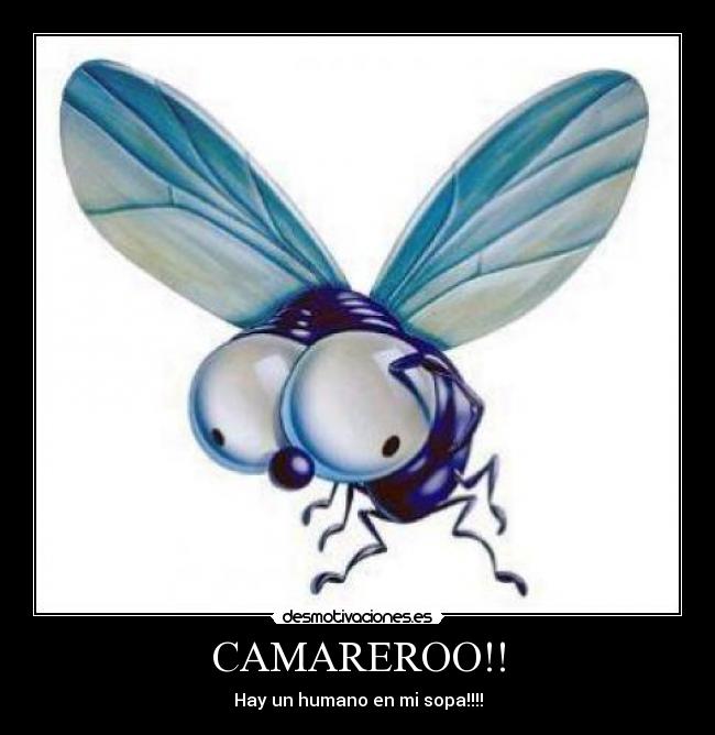 CAMAREROO!! - Hay un humano en mi sopa!!!!