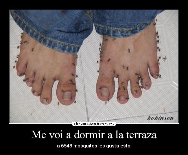 Me voi a dormir a la terraza - a 6543 mosquitos les gusta esto.