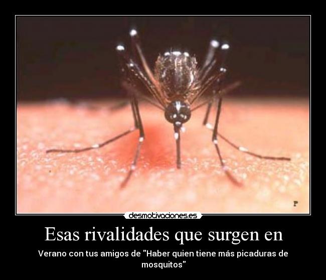 Esas rivalidades que surgen en - Verano con tus amigos de Haber quien tiene más picaduras de mosquitos