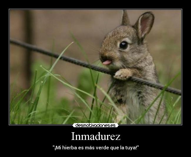 Inmadurez - 