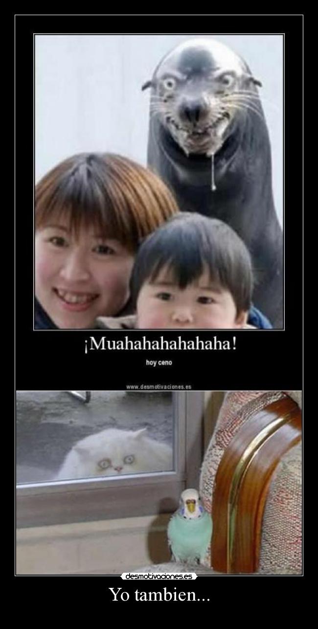 carteles hoy ceno tambien desmotivaciones