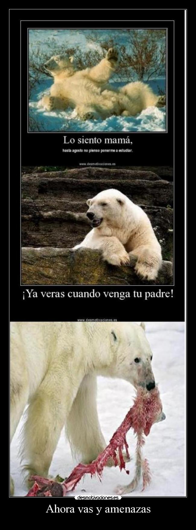 carteles amenazar madre muerta desmotivaciones