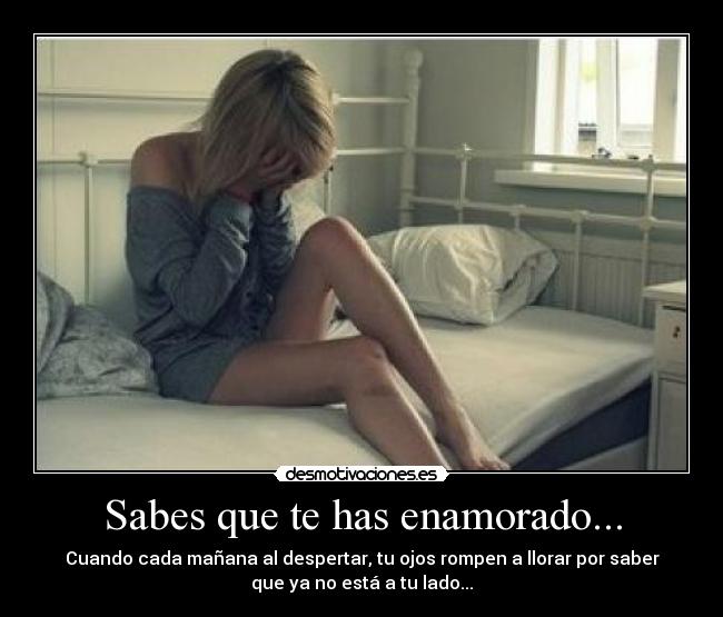 Sabes que te has enamorado... -