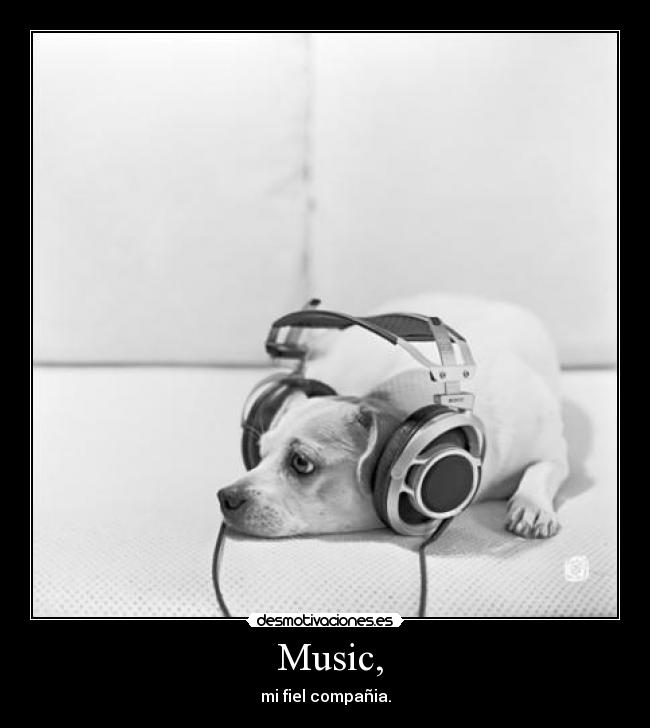  Music, - mi fiel compañia.