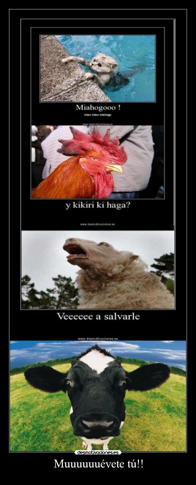 Muuuuuuévete tú!! - 