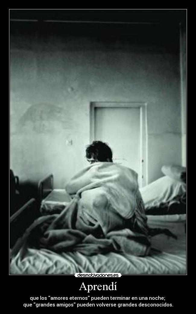 Aprendí - que los amores eternos pueden terminar en una noche;
que grandes amigos pueden volverse grandes desconocidos.