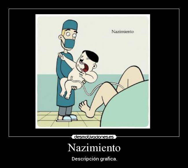Nazimiento - Descripción grafica.