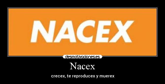 Nacex - 