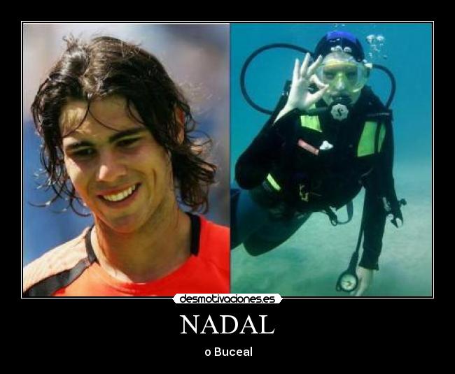 NADAL - o Buceal