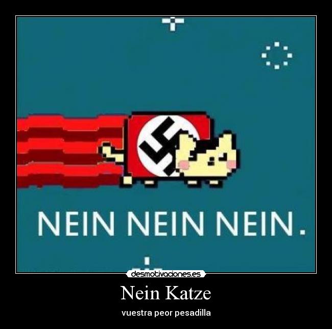 Nein Katze - 