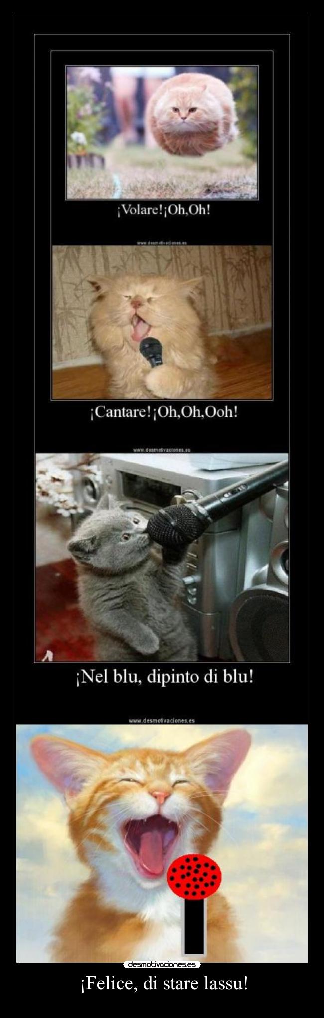 ¡Felice, di stare lassu! -