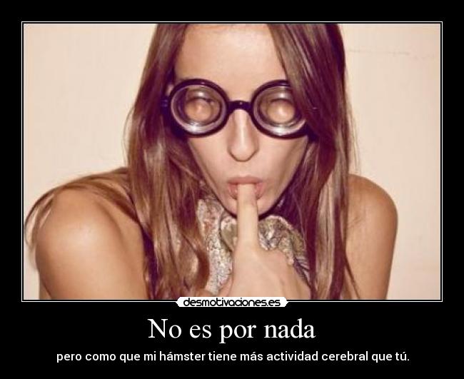 No es por nada - pero como que mi hámster tiene más actividad cerebral que tú.
