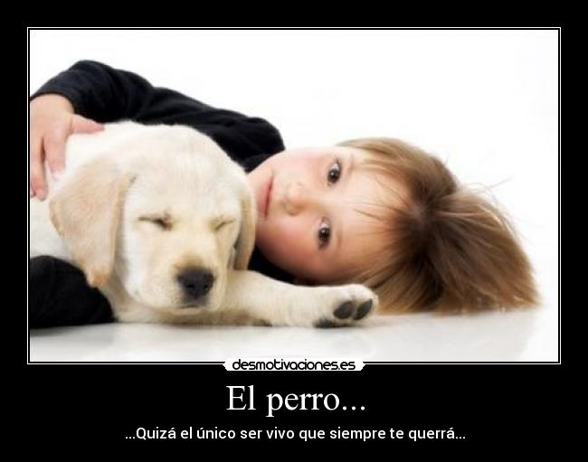 El perro... -