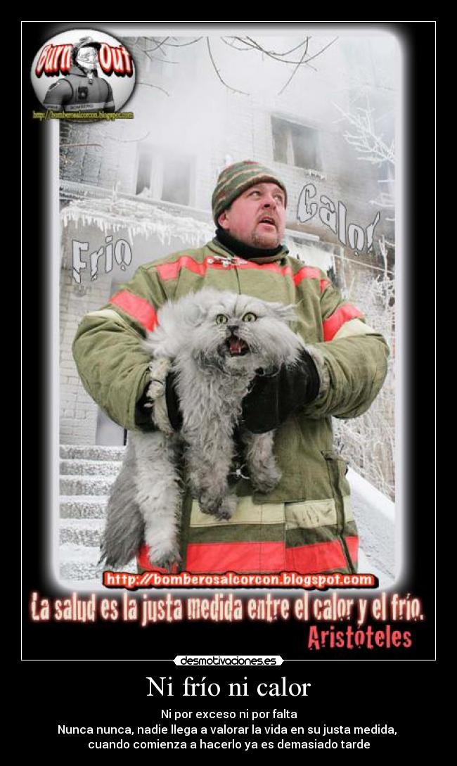 carteles frio calor medida cosas gato bombero incendio hielo temperatura extrema helado quemado desmotivaciones
