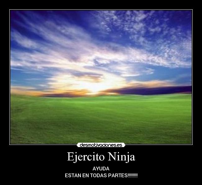 Ejercito Ninja - AYUDA
ESTAN EN TODAS PARTES!!!!!!!!