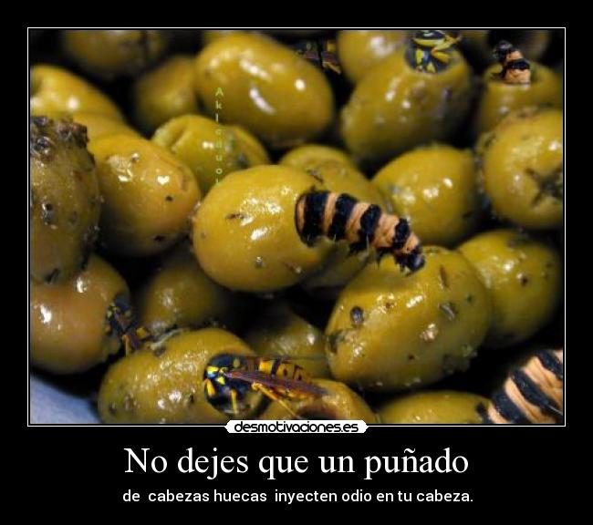 No dejes que un puñado - de cabezas huecas inyecten odio en tu cabeza.