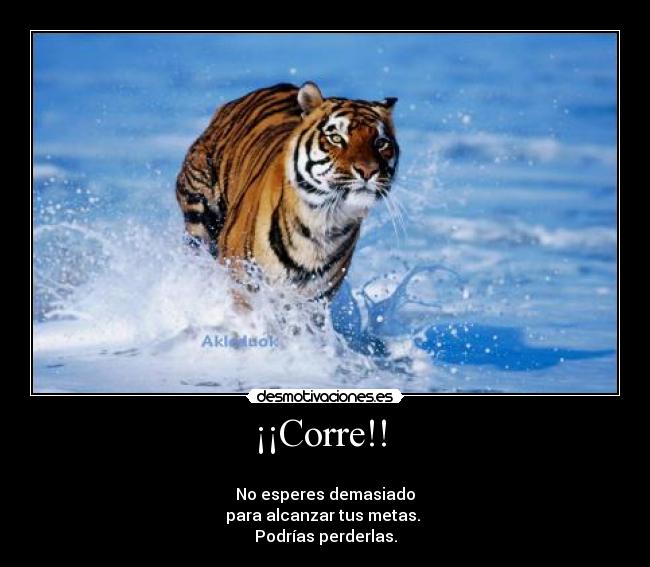 ¡¡Corre!! -