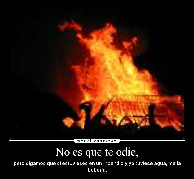 No es que te odie, - pero digamos que si estuvieses en un incendio y yo tuviese agua, me la bebería.