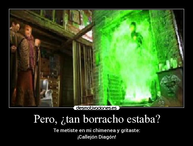 Pero, ¿tan borracho estaba? - Te metiste en mi chimenea y gritaste:
¡Callejón Diagón!