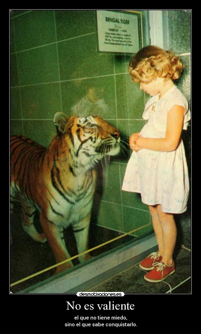 No es valiente - 