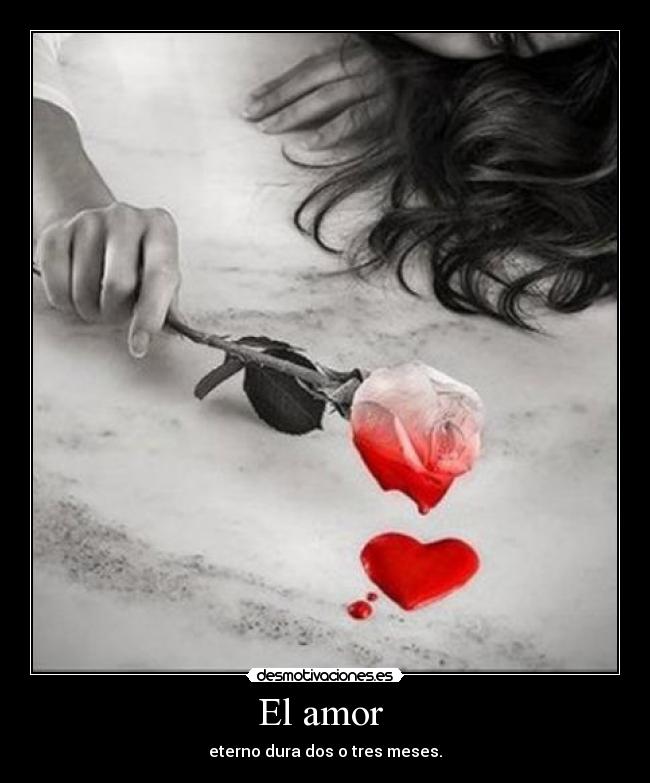 El amor - eterno dura dos o tres meses.