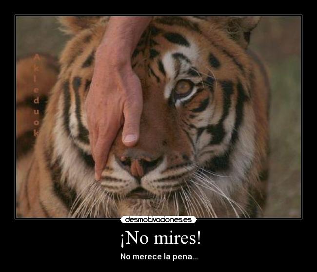 ¡No mires! - 