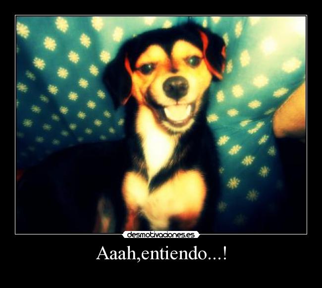 Aaah,entiendo...! -